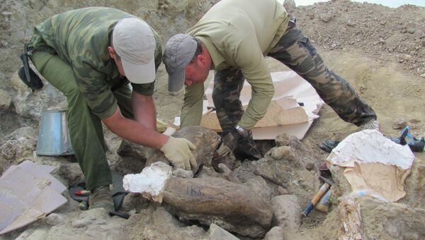 Раскопки в грязевом вулкане Синяя Балка на Таманском полуострове Раскопки в грязевом вулкане Синяя Балка на Таманском полуострове