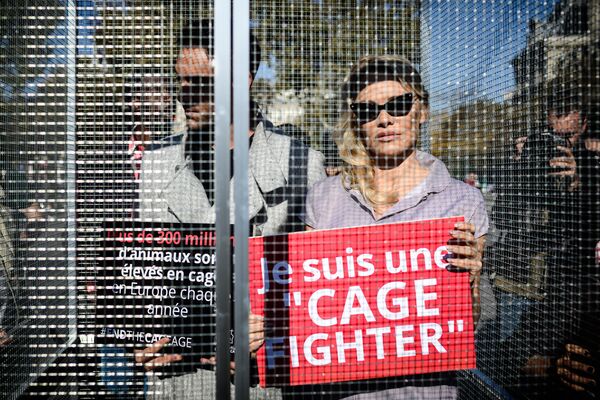 Актриса Памела Андерсон на акции CIWF в Париже Актриса Памела Андерсон на акции CIWF в Париже