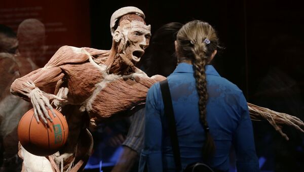 Анатомическая выставка реальных человеческих тел Body Worlds в Милане, Италия Анатомическая выставка реальных человеческих тел Body Worlds в Милане, Италия
