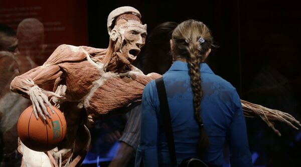 Анатомическая выставка реальных человеческих тел Body Worlds в Милане, Италия Анатомическая выставка реальных человеческих тел Body Worlds в Милане, Италия