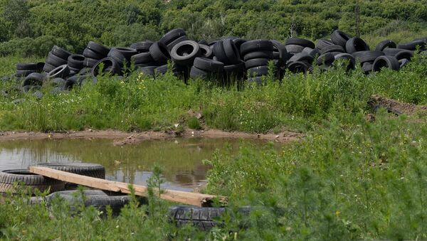В рамках экологического квеста в Ленинградской области соберут покрышки В рамках экологического квеста в Ленинградской области соберут покрышки