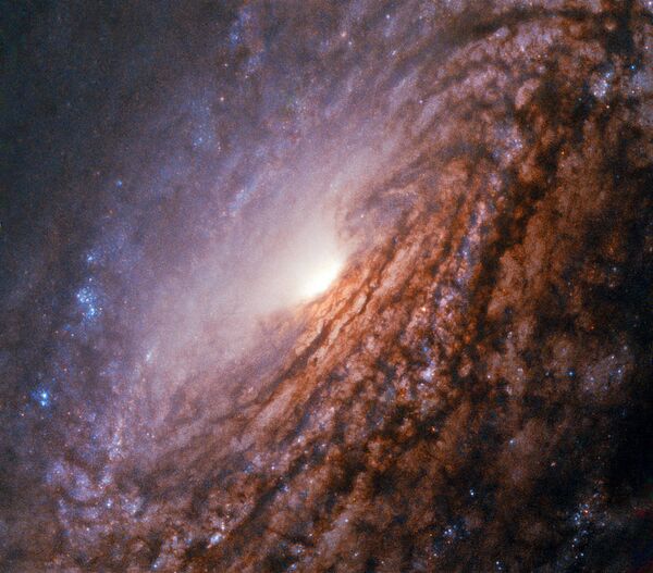 Сейфертовская галактика NGC 5033 в созвездии Гончие Псы Сейфертовская галактика NGC 5033 в созвездии Гончие Псы
