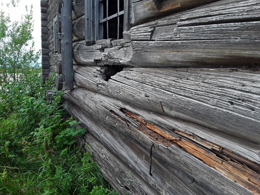 Церковь Василия Блаженного (1824 г.) в селе Чухчерьма Холмогорского района Архангельской области Церковь Василия Блаженного (1824 г.) в селе Чухчерьма Холмогорского района Архангельской области