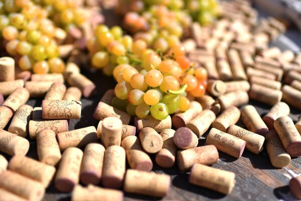 Фестиваль молодого вина «WineFest» в Балаклаве Фестиваль молодого вина «WineFest» в Балаклаве