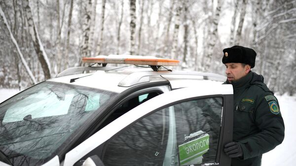Рейд по незаконной вырубке елок в парке Кузьминки Рейд по незаконной вырубке елок в парке Кузьминки