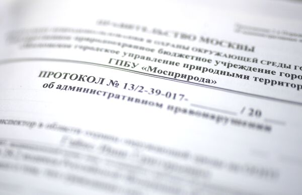 Рейд по незаконной вырубке елок в парке Кузьминки Рейд по незаконной вырубке елок в парке Кузьминки
