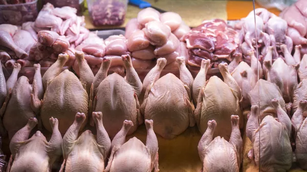 Мясо птицы Мясо птицы