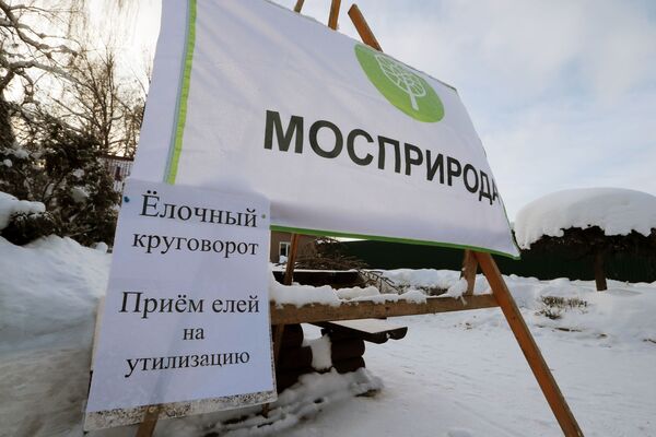 Пункт утилизации новогодних елок в Москве Пункт утилизации новогодних елок в Москве