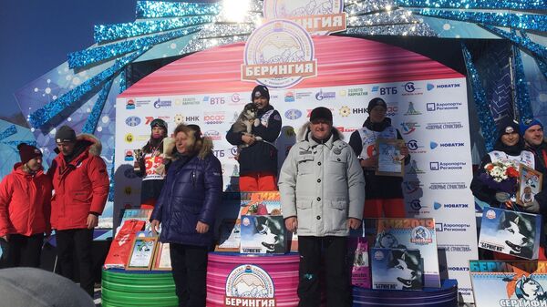 Гонка на собачьих упряжках Берингия-2019 в Камчатском крае. 23 февраля 2019 Гонка на собачьих упряжках Берингия-2019 в Камчатском крае. 23 февраля 2019