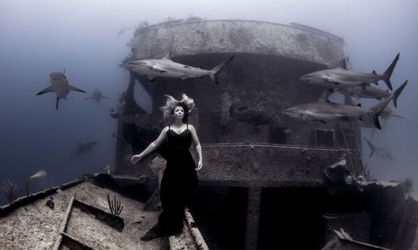Ken Kiefer. Underwater Photographer of the Year 2019 Ken Kiefer. Underwater Photographer of the Year 2019