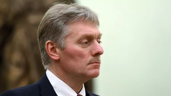 Заместитель руководителя администрации президента – пресс-секретарь президента РФ Дмитрий Песков. 27 февраля 2019