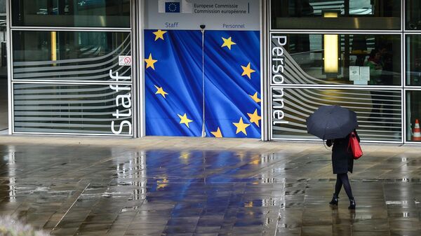В ЕК дали рекомендации по открытию границ Евросоюза