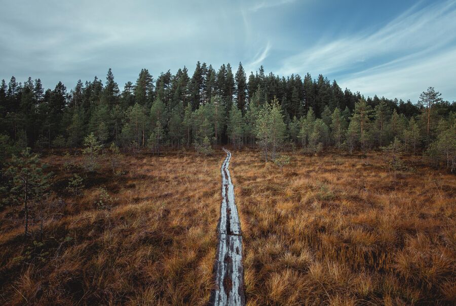 Финляндия, Тампере. Финляндия, Тампере.