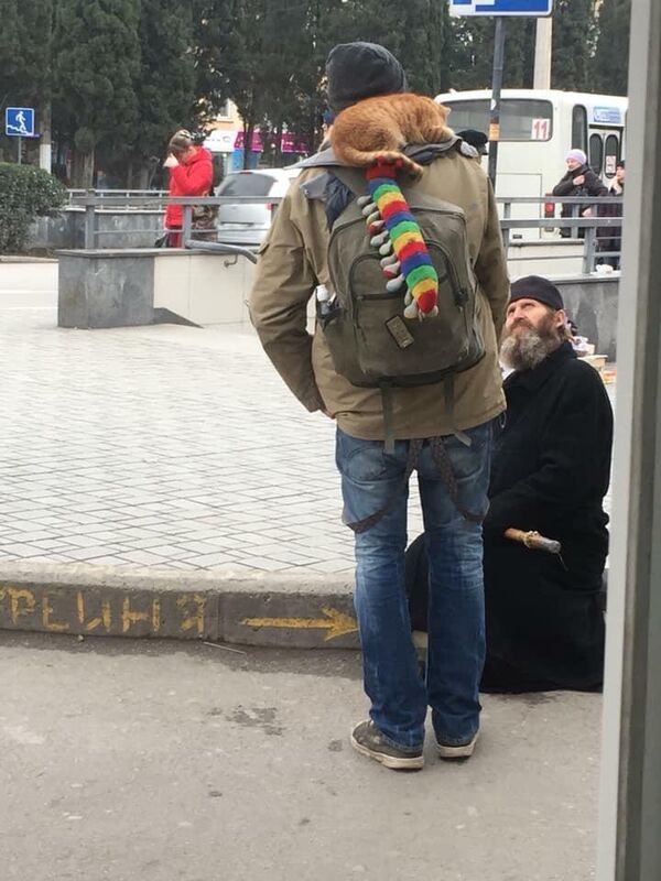 Рыжий кот Рыжий кот