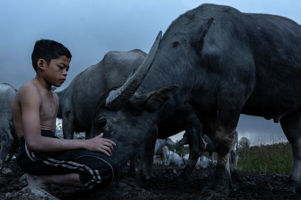 Работа финалиста конкурса Sony World Photography Awards 2019 Работа финалиста конкурса Sony World Photography Awards 2019