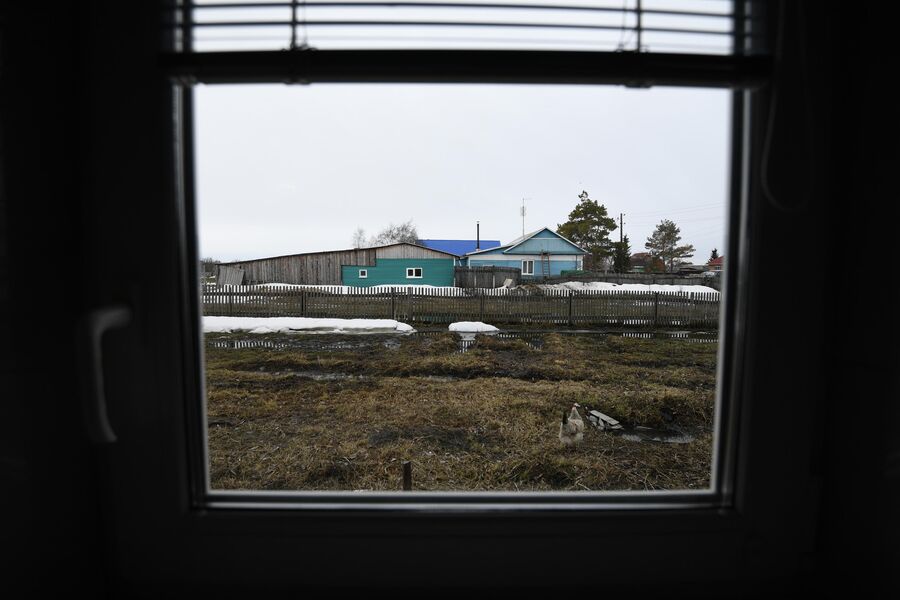 Дом семьи Паульсов. Вид из окна