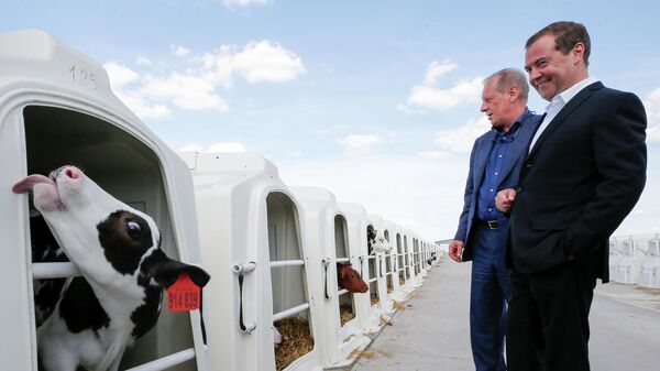 Председатель правительства РФ Дмитрий Медведев во время посещения сельскохозяйственного предприятия Заречье в Воронежской области Председатель правительства РФ Дмитрий Медведев во время посещения сельскохозяйственного предприятия Заречье в Воронежской области