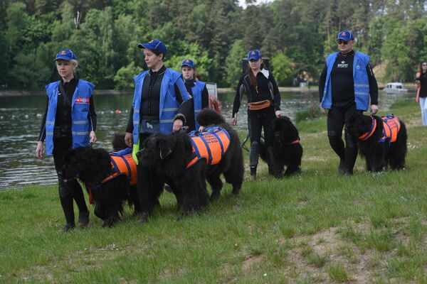 Подготовка спасателей к купальному сезону Подготовка спасателей к купальному сезону
