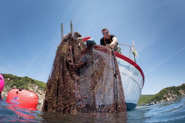 Очистка морского дна греческого полуострова от рыболовных сетей Очистка морского дна греческого полуострова от рыболовных сетей