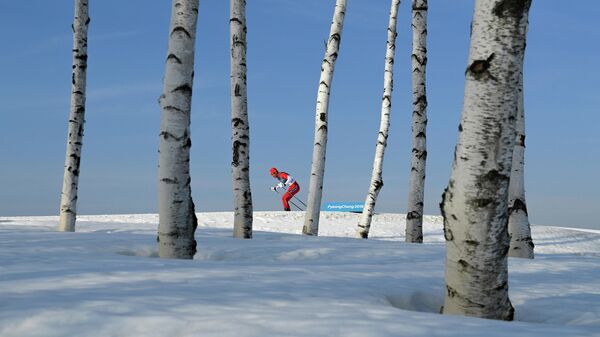 Работа фотографа Алексея Филиппова Lonely Olympics. Россия Работа фотографа Алексея Филиппова Lonely Olympics. Россия