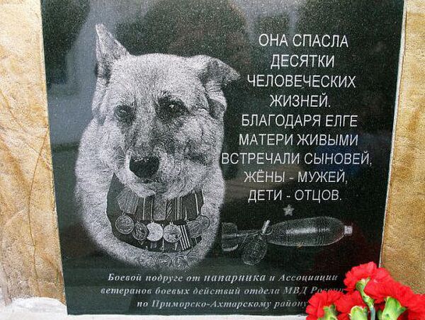 Пямятник овчарке по кличке Елга Пямятник овчарке по кличке Елга