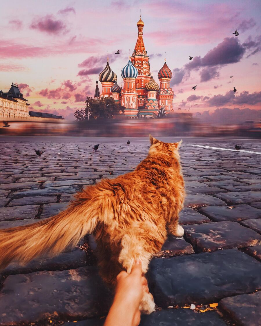 Котлетка на Красной Площади Котлетка на Красной Площади