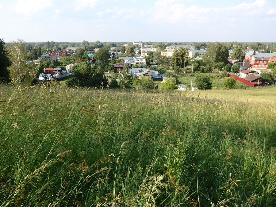 Пужалова гора. Гороховец Пужалова гора. Гороховец