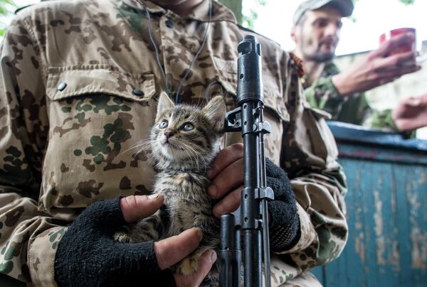 Котенок по кличке Псих на руках у ополченца Котенок по кличке Псих на руках у ополченца