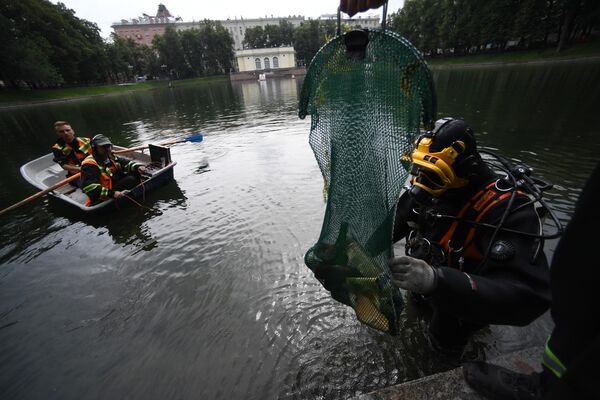 Водолазное обследование Патриаршего пруда Водолазное обследование Патриаршего пруда