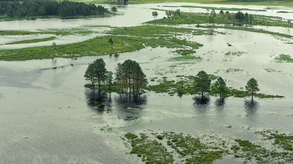 Территория, затопленная в результате разлива реки Селемджа, в Селемджинском районе Амурской области