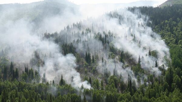 Очаги лесных пожаров в Красноярском крае