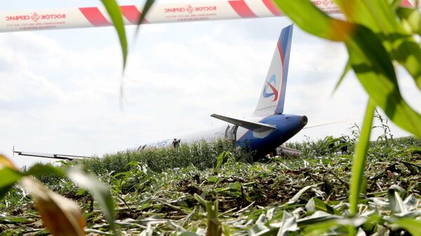Самолет Airbus А-321 авиакомпании Уральские авиалинии после аварийной посадки в Жуковском Самолет Airbus А-321 авиакомпании Уральские авиалинии после аварийной посадки в Жуковском