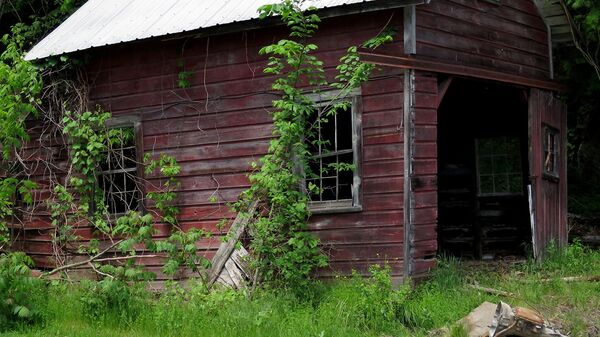 Брукфарм Брукфарм