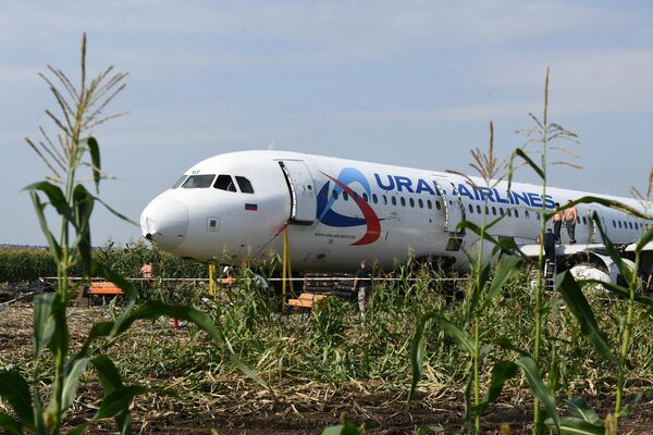 Самолет Airbus А321 авиакомпании Уральские авиалинии в кукурузном поле в районе деревни Рыбаки в Раменском районе Московской области Самолет Airbus А321 авиакомпании Уральские авиалинии в кукурузном поле в районе деревни Рыбаки в Раменском районе Московской области