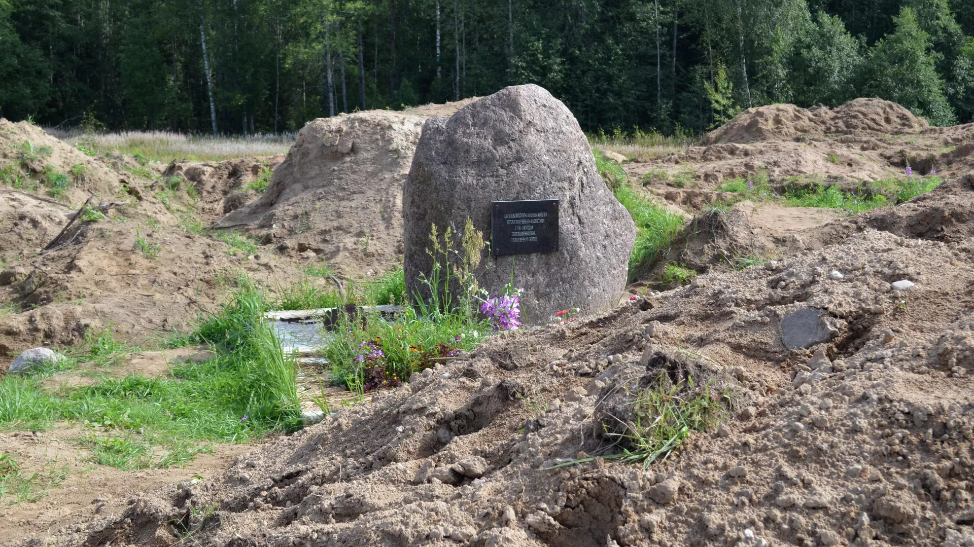 Место раскопок в районе деревни Жестяная Горка, где следователи обнаружили около 500 тел жертв латвийских карателей - РИА Новости, 1920, 14.10.2020