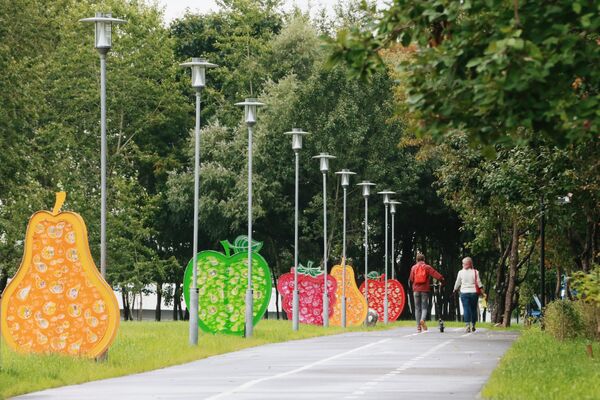 Аллея в парке Яблоневый сад в Западном Бирюлеве в Москве Аллея в парке Яблоневый сад в Западном Бирюлеве в Москве