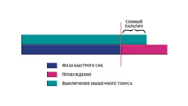 Сонный паралич Сонный паралич