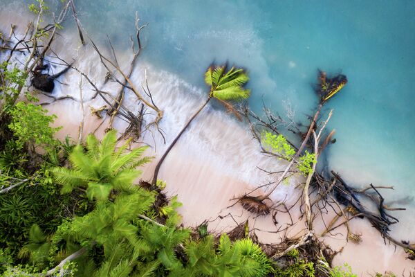 Sean Gallagher. Работа победителя конкурса Environmental Photographer of the Year 2019 Sean Gallagher. Работа победителя конкурса Environmental Photographer of the Year 2019