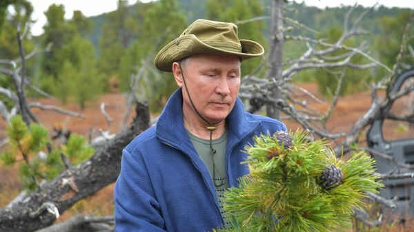 Президент РФ Владимир Путин во время прогулки в тайге Президент РФ Владимир Путин во время прогулки в тайге