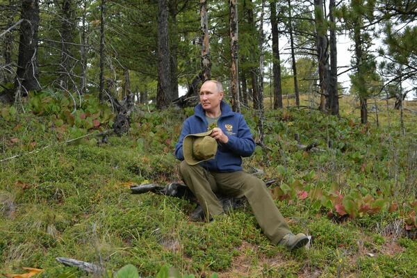 Президент РФ Владимир Путин во время прогулки в тайге Президент РФ Владимир Путин во время прогулки в тайге
