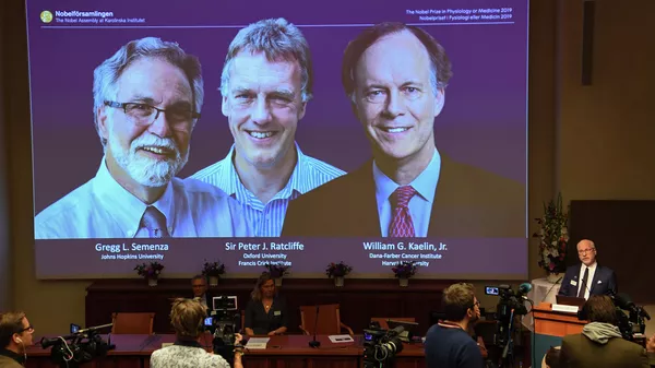 Объявление лауреатов Нобелевской премии по физиологии и медицине 2019 года в Стокгольме. Ее разделят между собой Грег Семенза, Уильям Келин и Петер Ратклифф