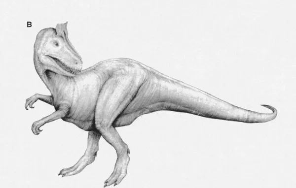 Динозавр Cryolophosaurus ellioti – ледяной ящер с гребнем, обнаруженный в 1991 году на Трансатлантическом хребте Антарктиды