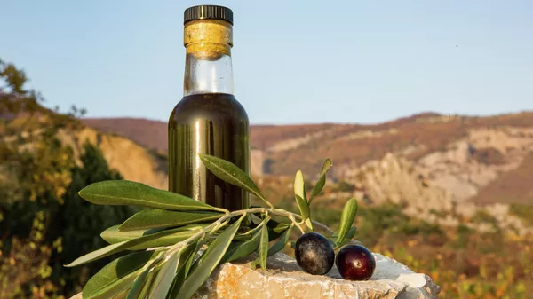 Российское оливковое масло из оливок Крымского федерального университета