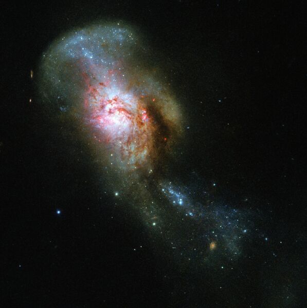 Галактика NGC 4194 Галактика NGC 4194