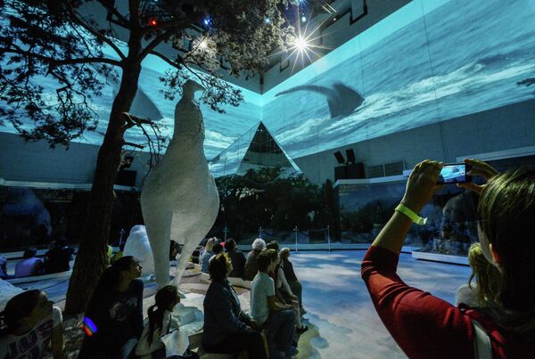 Посетители Дарвиновского музея в Москве смотрят свето-видео-музыкальную экспозицию Живая планета