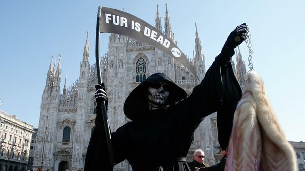 Участница организации по защите прав животных PETA во время акции протеста против использования меха в индустрии моды в Милане, Италия Участница организации по защите прав животных PETA во время акции протеста против использования меха в индустрии моды в Милане, Италия