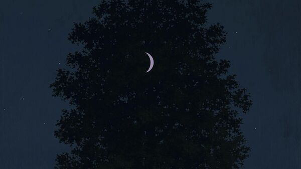 Картина Рене Магритта Шестнадцатое сентября