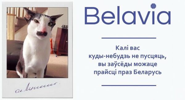 Кот Виктор Кот Виктор
