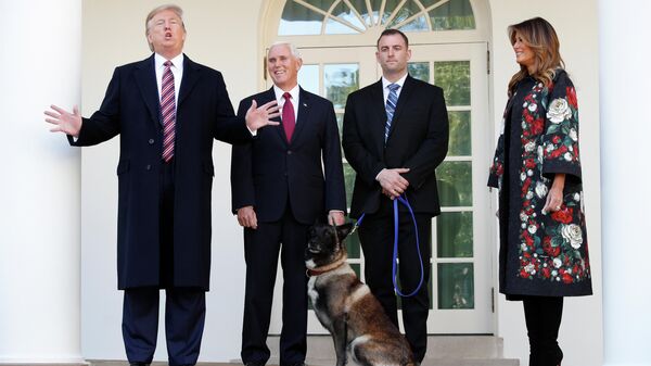 Президент США Дональд Трамп, вице-президент Майк Пенс и военная собака Конан Президент США Дональд Трамп, вице-президент Майк Пенс и военная собака Конан
