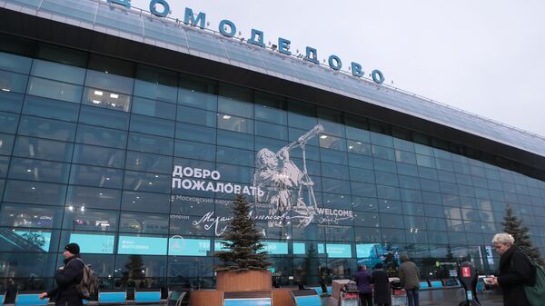 Прокуратура проверит сообщения о собаке, потерянной в аэропорту Домодедово